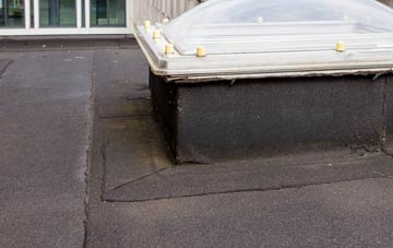 disadvantages of Richmonds Green flat roofs