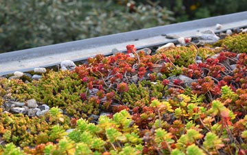 the cost of Richmonds Green green roof installation
