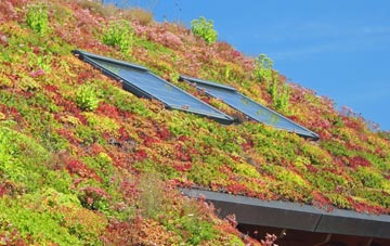 Richmonds Green living roof systems